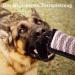 EPODA Dog Bite Tug Toy - 2 Piece Jute Beisswurst for K9 Training | Durable Tug & Play Toy with 2 Handles | Ideal for Dog Training & Playtime - Buy Online on GoSupps.com