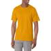 Champion Men's Unisex Classic Cotton Tee - Large Team Gold C Logo - Buy Online on GoSupps.com