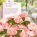 RCZ D cor Shimmer Blush Pink Artificial Flowers - 50 Roses with Stems and 20 Leaves - Buy Online on GoSupps.com