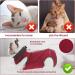 Cobee Professional Recovery Suit for Cats | Abdominal Wounds Surgery & Skin Diseases | E-neck Band Alternative | Size M Red - Ideal for Kittens & Dogs - Buy Online on GoSupps.com