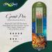 Silver Brush Limited GP-1050 Grand Prix Set - Oil Painting Brushes - Round, Flat, Bright, Filbert, Xtra Long Filbert - Size 4 - Long Handle - Set of 5 Brushes - Buy Online on GoSupps.com
