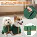Pettom Dog Bumper Microfiber Fast-Drying Bathrobe - Super Absorbent Cotton for Large Medium & Small Dogs (S Green) - Buy Online on GoSupps.com