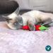 OurPets 100% North American Catnip Filled Cat Toys - Interactive Cat Toy for Indoor Cats & Kittens - Chew Toy & Catnip Toys for Cats - Great for Catnip Lovers - Hot Stuff! - Buy Online on GoSupps.com