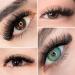 LASHVIEW 1000 Premade Volume Fans - Mixed Lengths 9-16mm Handmade 5D & 10D Eyelash Extensions C&D Curl Supplies - Buy Online on GoSupps.com