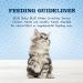 Blue Buffalo Baby Blue Crunchies Natural Savory Chicken Kitten Treats - 2oz Pack - Buy Online on GoSupps.com