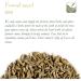 Organic Fennel Seed Delicacy - 700g | Culinairy Grade Foeniculum Vulgare Seeds - Buy Online on GoSupps.com