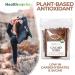 Healthworks Cacao Nibs Raw Organic (32 Ounces / 2 Pound) | Criollo Bean | Unsweetened Chocolate Substitute | Certified Organic | Keto  Vegan & Non-GMO | Antioxidant - Buy Online on GoSupps.com