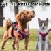 Uvtqssp Dog Harness for Small Dogs | Padded Adjustable Leash & Stylish Black & Red Puppy Dishes - Buy Online on GoSupps.com