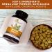 Grenera Senna Tablets 240 Count - Vegan & Kosher Certified Laxative with Senna Leaf Powder - Buy Online on GoSupps.com
