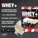 Buy Honest Whey Protein Powder - White Chocolate Coconut 1kg | 12.5% Isolate EAA & BCAA Instant Soluble Protein Fresh Pasture Milk - Buy Online on GoSupps.com