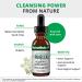 NutraMedix Pinella Antioxidant Detox Support - 1 fl oz (30 ml) | Natural Detoxification - Buy Online on GoSupps.com