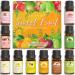 ASAKUKI Fruity Fruit Fragrance Oils for Candle & Soap Making, 10*10ML Essential Oils Gift Set - Lemon, Mango, Coconut, Strawberry, Watermelon, Pineapple, Green Apple and More Fresh Summer Scented Oils 10 Scents