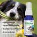 Siddha Remedies Oral Health for Pets | Natural Dog & Cat Tooth Care, Bad Breath Spray & Healthy Gums Solution - Buy Online on GoSupps.com