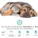 MP Labo Phytobiovet Ear cleaner for dogs - Ecocert certified Organic animal care - Buy Online on GoSupps.com