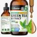 BIO KRAUTER Green Tea Extract - Liquid Pure Vegan Green Tea Supplement 680 mg per Serving 4 Fl.Oz 56-Day Supply - Natural Antioxidant & Immune Support Used for Daily Wellness - Alcohol & Sugar Free 4 Fl Oz (Pack of 1)