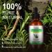 ELBBUB Rosemary Oil for Hair Growth - Undiluted Rosemary Oil for Hair Skin - Cleansing Rosemary Essential Oil for Dry Scalp Care Rid of Itchy and Dry Scalp 1 120.0 millilitre - Buy Online on GoSupps.com