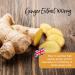 Healthspan Ginger Extract 100mg (4 Months' Supply) | Digestive Health Support | Equivalent to 12 000mg Whole Ginger Root | 20mg Gingerols | Easy-to-Swallow Vegan Capsules - Buy Online on GoSupps.com