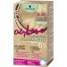 ONLY love coloring 10.56 cashewblond level 3 (3 x 143 ml) permanent hair color for lively healthy looking hair without ammonia and silicones 3 g (1 Pack)