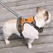 Adjustable No-Pull Dog Harness - Breathable Reflective & Padded Handle for Medium Dogs | Heele - 38-71cm | Orange - Buy Online on GoSupps.com
