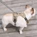 Buy Heele Dog Crockery & Reflective Anti-Pull Harness for Medium Dogs | Camouflage Desert Design - Adjustable Front/Back Clips Padded Handle Ships Internationally - Buy Online on GoSupps.com