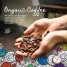 Coffee Junkie Coffee Advent Calender (Decaf) - Buy Online on GoSupps.com