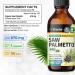 BIO KRAUTER Saw Palmetto for Men & Women - Pure Vegan Liquid Drops Saw Palmetto 670 mg per Serving 4 Fl.Oz 56-Day Supply - Used for Urinary Tract Support Hair & Skin Wellness - Alcohol & Sugar Free 4 Fl Oz (Pack of 1) - Buy Online on GoSupps.com