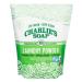 Charlie’s Soap Laundry Powder (100 Loads, 1 Pack) Fragrance Free Hypoallergenic Plant Based Deep Cleaning Laundry Powder – Biodegradable Eco Friendly Sustainable Laundry Detergent 100 Load (2.64 lb)