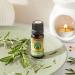 Certified Organic Rosemary Essential Oil 10ml - 100% Pure Therapeutic Grade for Aromatherapy, Massage & Hair Care | Includes e-Book - Buy Online on GoSupps.com