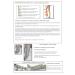 Buy Compression Massage System with Arm Sleeve & Shoulder Strap Set | International Shipping Available - Buy Online on GoSupps.com