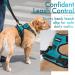 Rabbitgoo Medium Dog Harness - No Pull Adjustable Control Harness for Large Dogs Breathable & Safe Blue-Green (1 Pack) - Buy Online on GoSupps.com