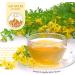  Alpi Nature Alpi Nature Organic St. John's Wort Tea 120 Tea Bags 120g Pack of 6 x 20 x 1g Bags - Buy Online on GoSupps.com