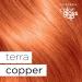 Clairol Color Gloss Up Temporary Hair Dye - Terra Copper - 4.3 Fl Oz. - Buy Online on GoSupps.com