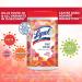 Lysol Disinfecting Wipes Mango & Hibiscus 6-Pack (80ct Each) - Kills 99.9% of Germs - Buy Online on GoSupps.com