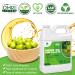 16oz 100% Pure Cold Pressed Neem Oil Spray Concentrate for Plants - Indoor/Outdoor Horticultural Use on Flowers  Vegetables  Fruit Trees - Non-Toxic Formula - Buy Online on GoSupps.com