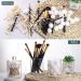 Qtip Apothecary Jar with Cotton Swabs - 3 Pack | Premium Quality & Stylish Storage | International Shipping Available - Buy Online on GoSupps.com