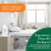 Hospital Germicidal Deodorizing Cleaner - Fresh Citrus Scent - 1 Gallon Refill Pack of 4 | Powerful Disinfecting Solution for Home & Business - Buy Online on GoSupps.com