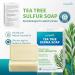 pureskin Calming Cream + Tea Tree Sulfur Soap 2-Pack Bundle 2-Piece Set for Oily Flaky or Blemish-Prone Skin - Buy Online on GoSupps.com
