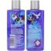 Astonish 3 in 1 Multi-Purpose 300ml Liquid Disinfectant | Long Lasting Morning Dew Pet Fragrance - Buy Online on GoSupps.com