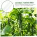 SUPVOX Horticulture 3pcs Vegetable Shaping Pots for Plants Garden Vegetable Growth Forming Fruit Pizza - Buy Online on GoSupps.com