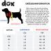 DDOXX Nylon Step-In Dog Harness - Adjustable Red Puppy Harness for All Sizes (S) - 1.5 x 45-63 cm | International Shipping Available - Buy Online on GoSupps.com