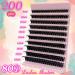 Fluffy Lash Clusters 80D - 200 Pcs Thick D Curl Eyelash Extensions 8-16mm DIY Wispy Mink Lashes by TMIELYBS - Buy Online on GoSupps.com