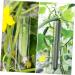 BESPORTBLE 4 pcs Shaping Fruit Square Star Shaped Tool Heart Cucumber Flower Styling Vegetable Shapers Forming - Buy Online on GoSupps.com