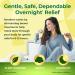 Senokot Regular Strength Natural Vegetable Laxative with Senna - 20 Tablets, Gentle & Dependable Overnight Relief for Occasional Constipation - Buy Online on GoSupps.com
