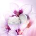 Ageless 10% Phyto ProCollagen Firming Anti-Age Cream - Rejuvenate & Nourish Your Skin | International Shipping Available - Buy Online on GoSupps.com
