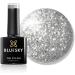 BLUESKY Gel Polish DAZZLING RANGE NEW LUXURIOUS GLITTERS CHRISTMAS 2021 UV LED NAIL SOAK OFF (Requires Drying Under UV LED Lamp) (BDP08 Silver Rally) - Buy Online on GoSupps.com