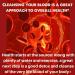 SpeedyVite Natural Blood Cleanser Organic Supplement Combo - Tea & Liquid Drops - Buy Online on GoSupps.com