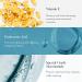 Bliss Glow and Hydrate Day Serum Replenishing and Hydrating Face Serum with Niacinamide Hyaluronic Acid and Vitamin E Clean Cruelty-Free Paraben Free Vegan 30 ml - Buy Online on GoSupps.com