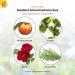 Solabiol Schachtelhalm Sud - Biological Plant Strengthener for Mushrooms | 1L Eco-Friendly Solution - Buy Online on GoSupps.com