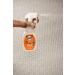 Scotchgard OXY Pet Carpet & Fabric Stain Remover - 26oz | Powerful Spot Treatment - Buy Online on GoSupps.com