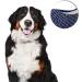 Four Paws Magic Coat Deluxe Love Glove for Dogs with Tender Tips - Grooming Made Easy - Buy Online on GoSupps.com